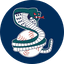 Minneapolis Cobras