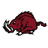 St. Anthony Hogs
